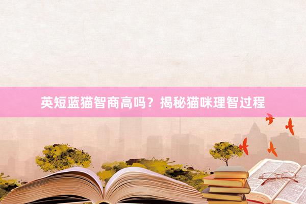 英短蓝猫智商高吗？揭秘猫咪理智过程