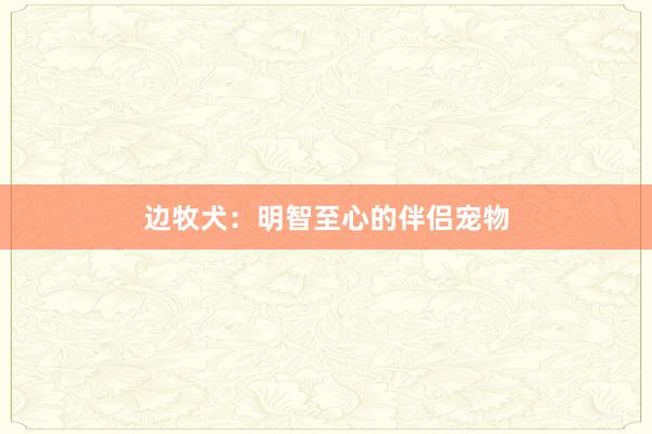 边牧犬：明智至心的伴侣宠物