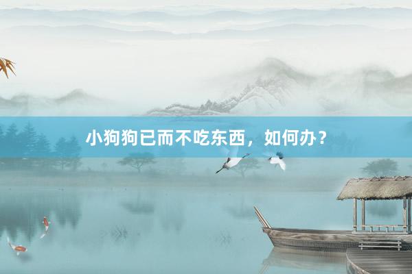 小狗狗已而不吃东西,如何办?