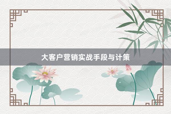 大客户营销实战手段与计策